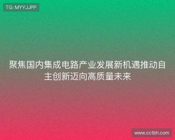 聚焦国内集成电路产业发展新机遇推动自主创新迈向高质量未来